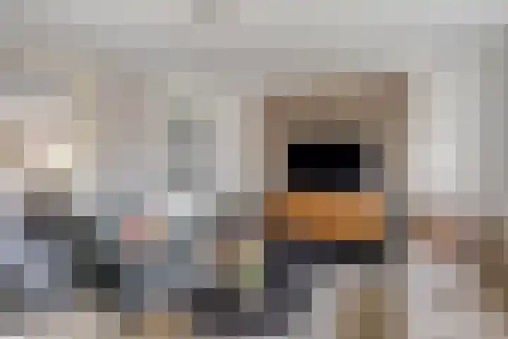 Zijl 4 Grijpskerk thumbnail 12