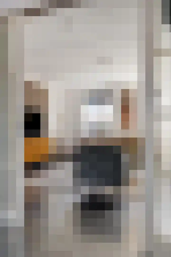 Zijl 4 Grijpskerk thumbnail 14
