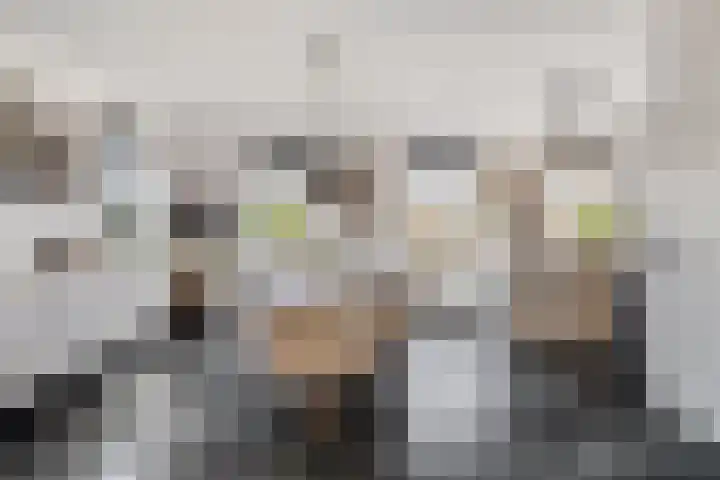 Zijl 4 Grijpskerk thumbnail 17