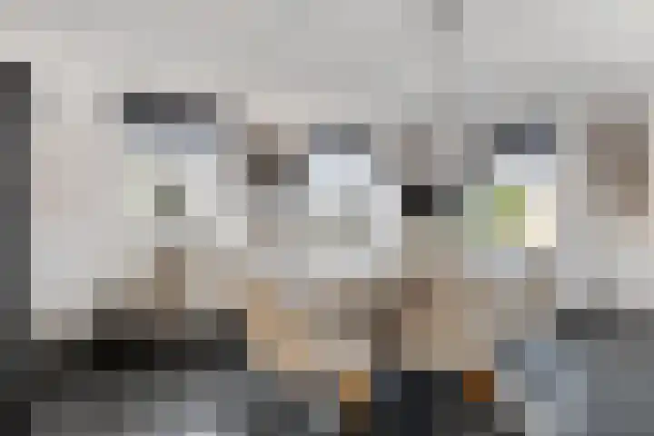 Zijl 4 Grijpskerk thumbnail 18