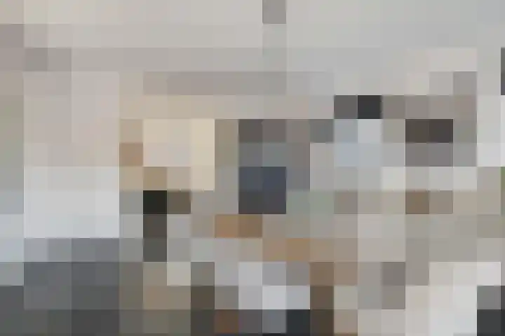 Zijl 4 Grijpskerk thumbnail 19