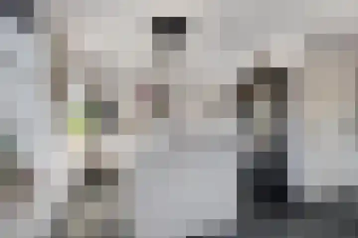 Zijl 4 Grijpskerk thumbnail 21