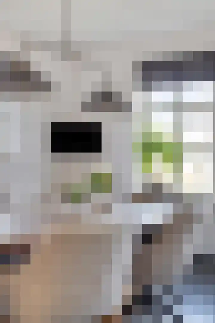 Zijl 4 Grijpskerk thumbnail 24