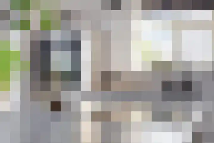 Zijl 4 Grijpskerk thumbnail 25