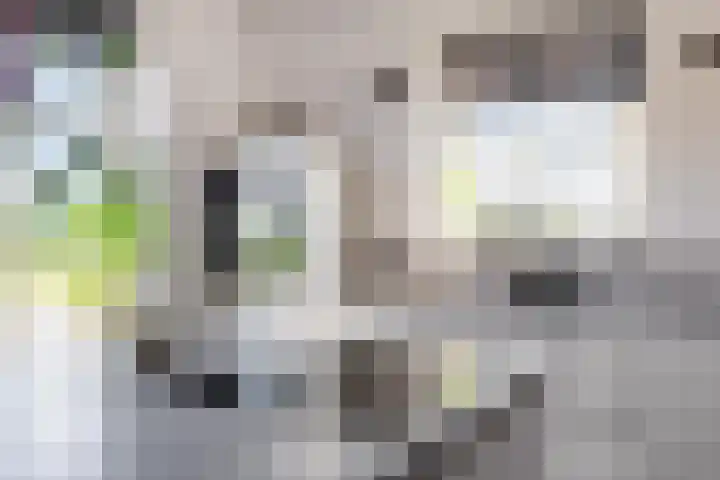 Zijl 4 Grijpskerk thumbnail 26