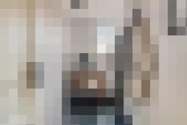 Zijl 4 Grijpskerk thumbnail 28