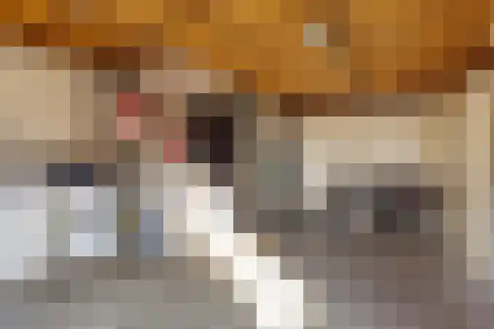Zijl 4 Grijpskerk thumbnail 29