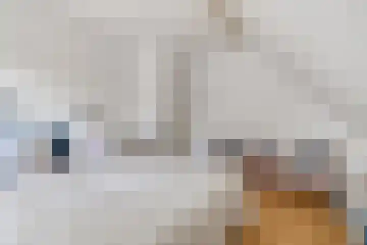 Zijl 4 Grijpskerk thumbnail 33
