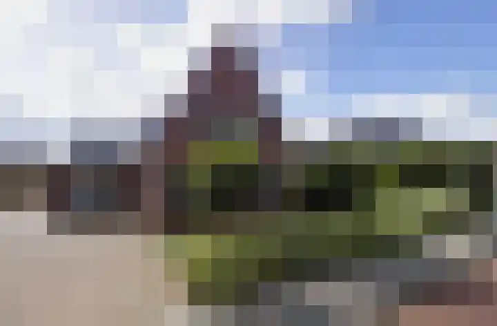 Zijl 4 Grijpskerk thumbnail 4