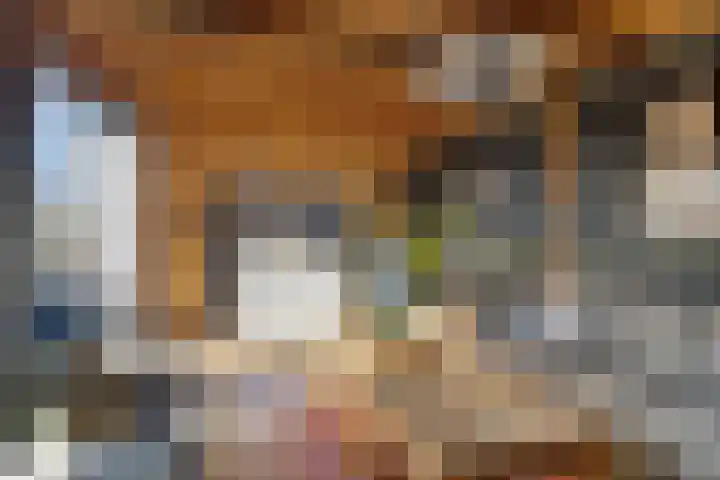Zijl 4 Grijpskerk thumbnail 41