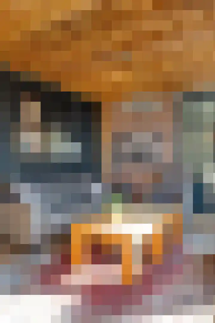Zijl 4 Grijpskerk thumbnail 43