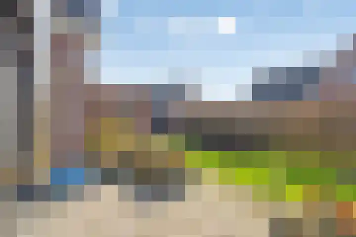 Zijl 4 Grijpskerk thumbnail 45