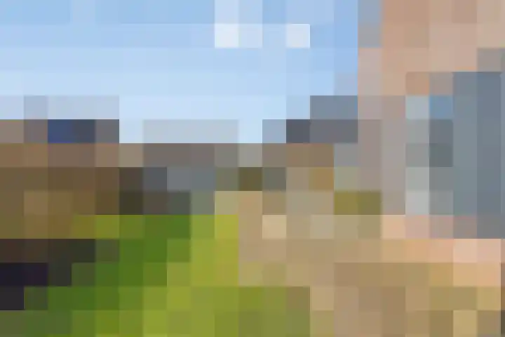 Zijl 4 Grijpskerk thumbnail 48