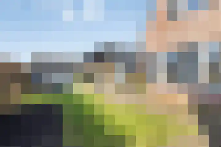 Zijl 4 Grijpskerk thumbnail 49