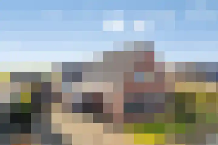 Zijl 4 Grijpskerk thumbnail 5
