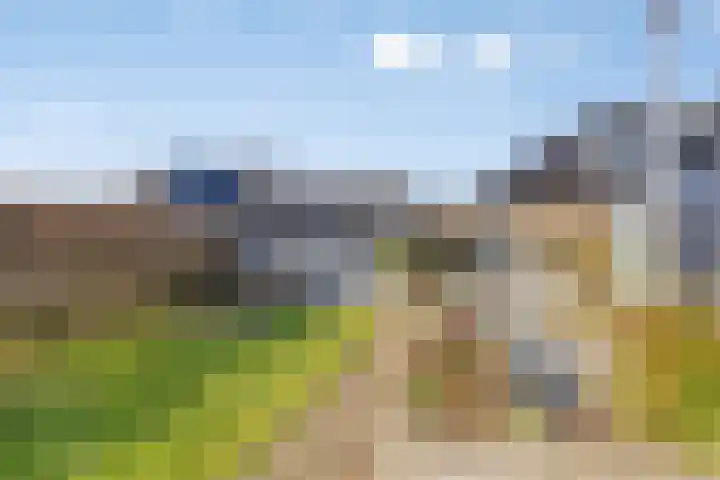 Zijl 4 Grijpskerk thumbnail 50