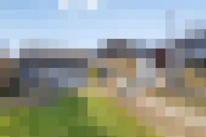 Zijl 4 Grijpskerk thumbnail 51
