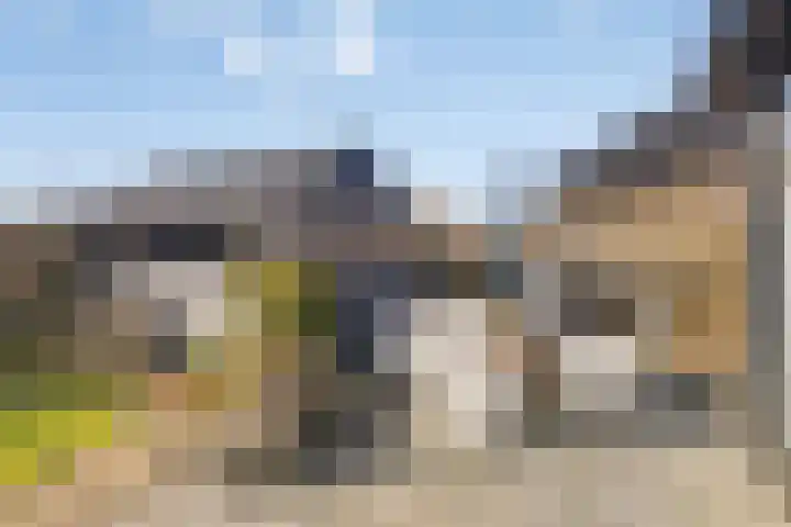 Zijl 4 Grijpskerk thumbnail 52