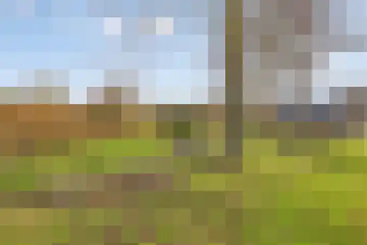 Zijl 4 Grijpskerk thumbnail 57