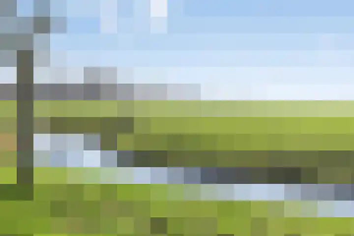 Zijl 4 Grijpskerk thumbnail 58