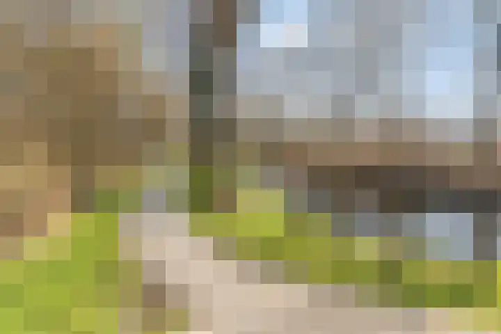 Zijl 4 Grijpskerk thumbnail 59