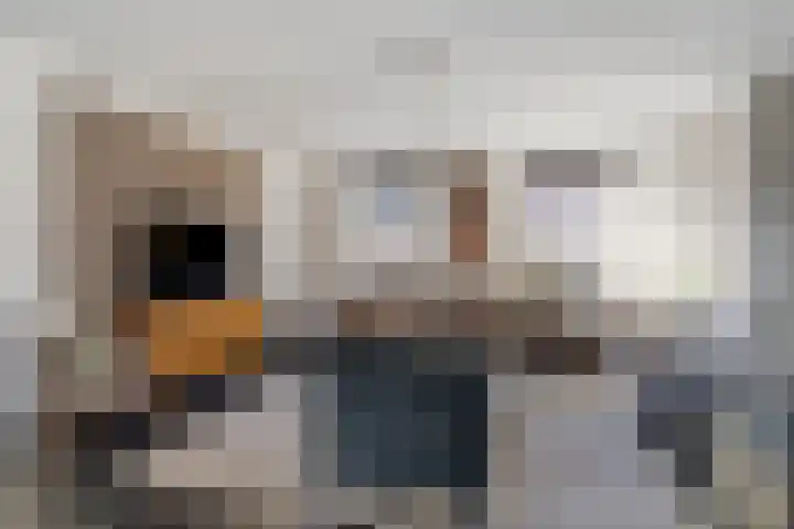 Zijl 4 Grijpskerk thumbnail 9