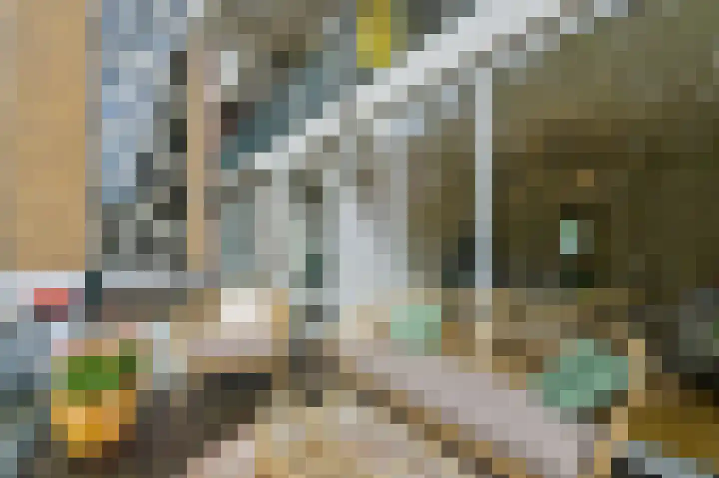 Zijl 7 B Rotterdam thumbnail 11
