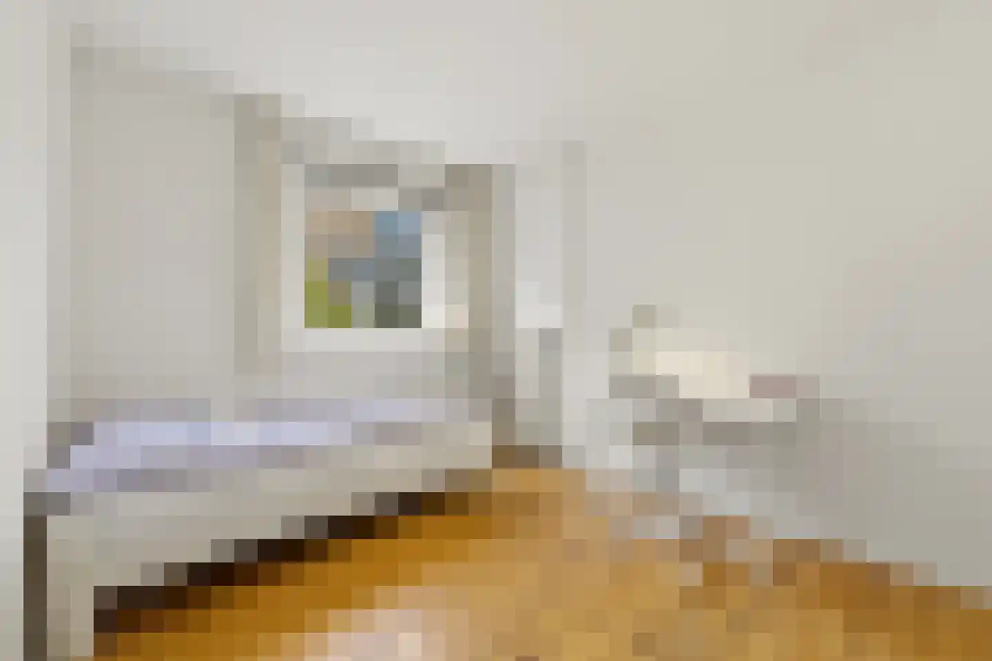 Zijl 7 B Rotterdam thumbnail 20