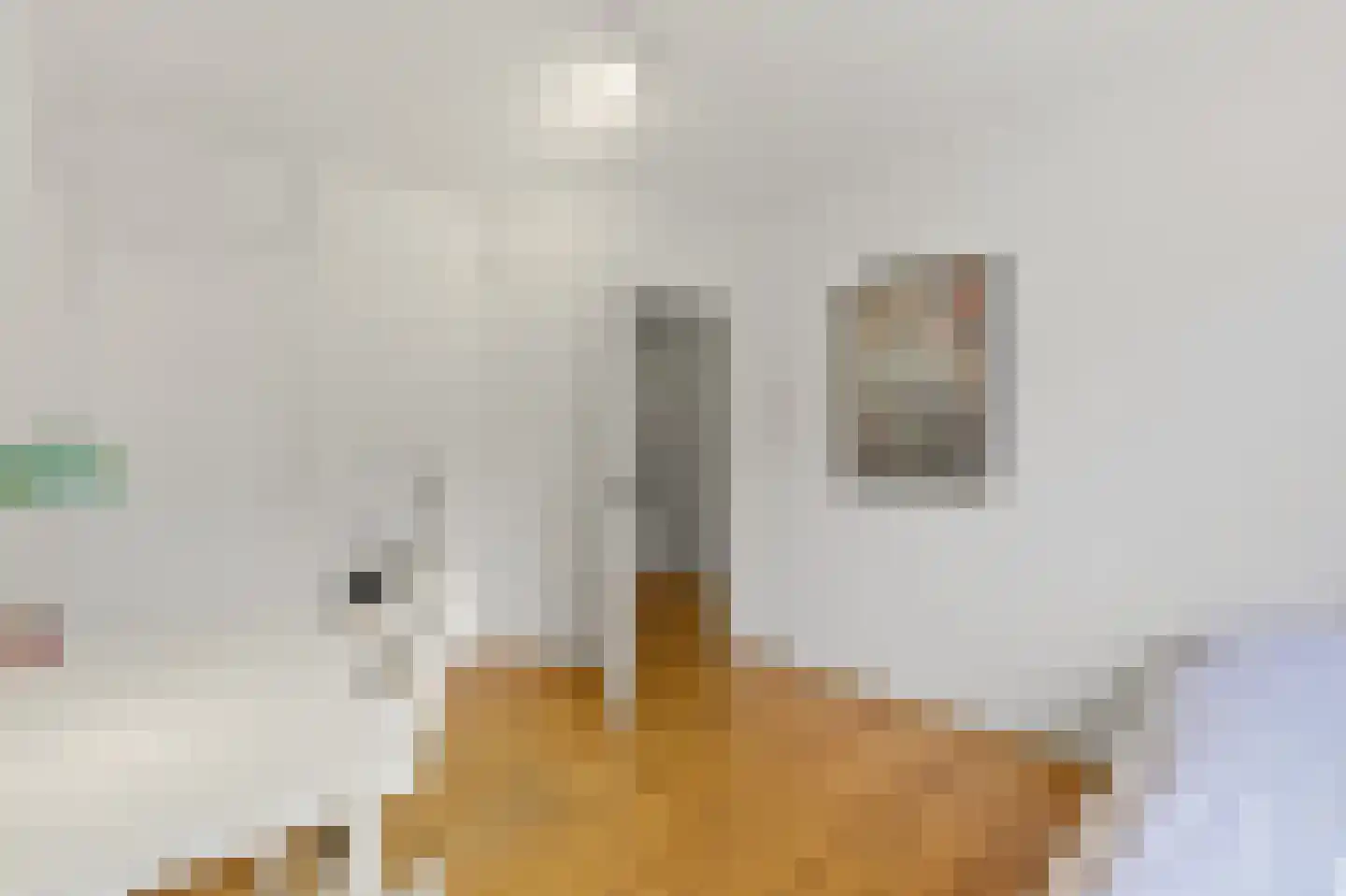 Zijl 7 B Rotterdam thumbnail 21