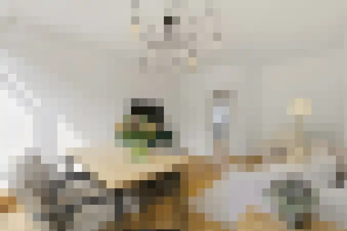 Zijl 7 B Rotterdam thumbnail 8