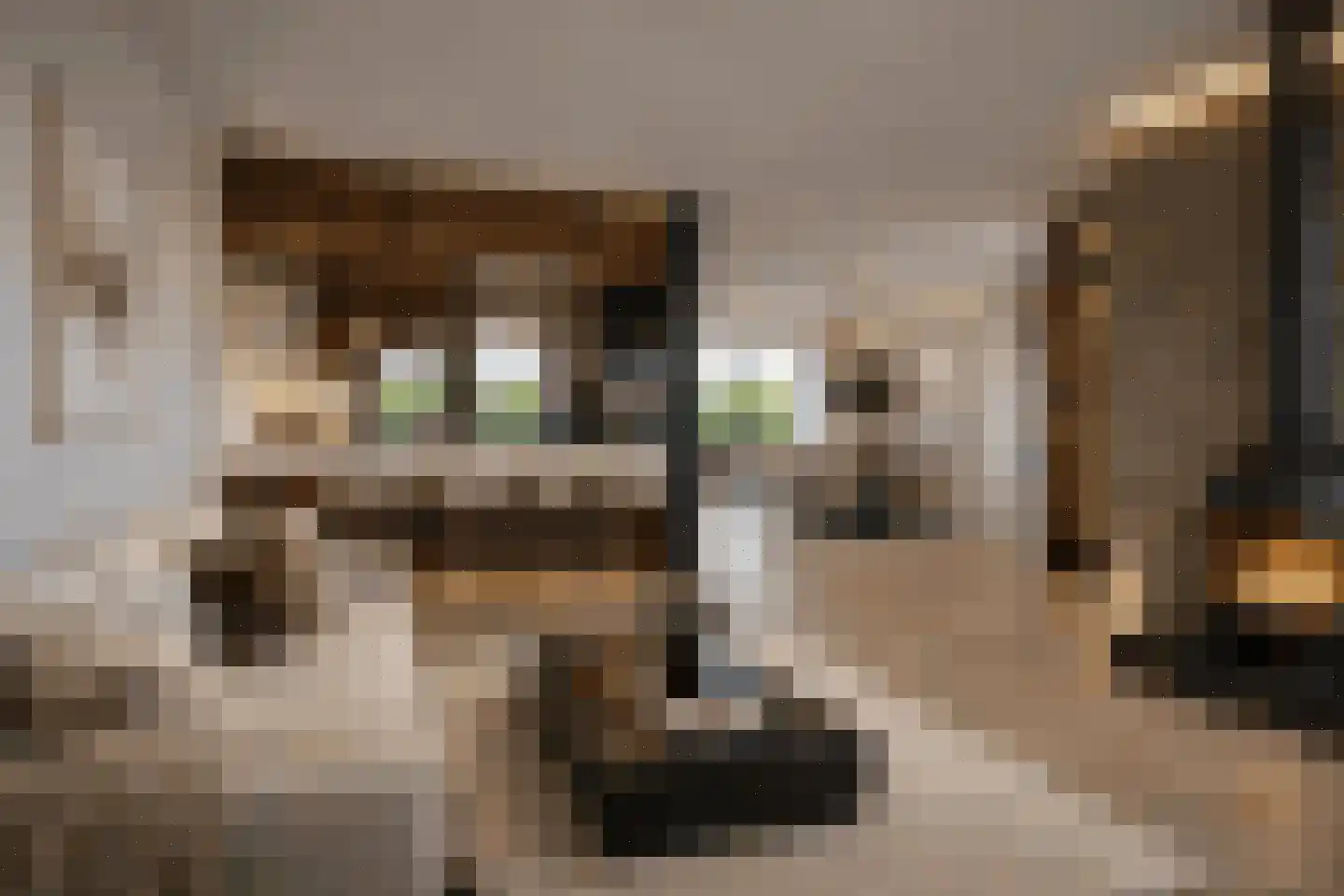 Zijl 85 Bergen (NH) thumbnail 5