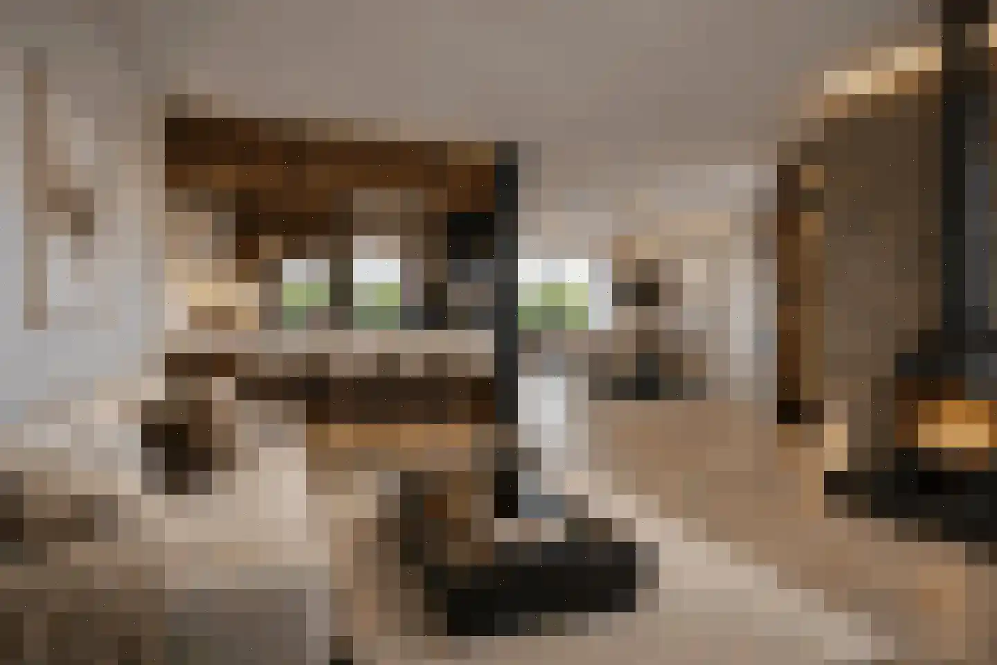 Zijl 85 Bergen (NH) thumbnail 6