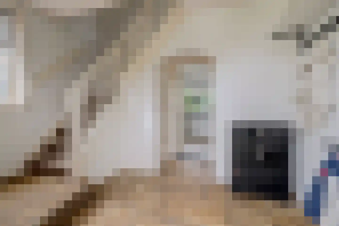 Zijlandstraat 13 Borculo thumbnail 16
