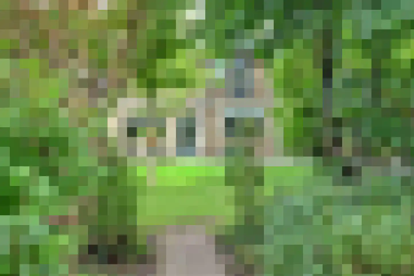 Zijlandstraat 13 Borculo thumbnail 35