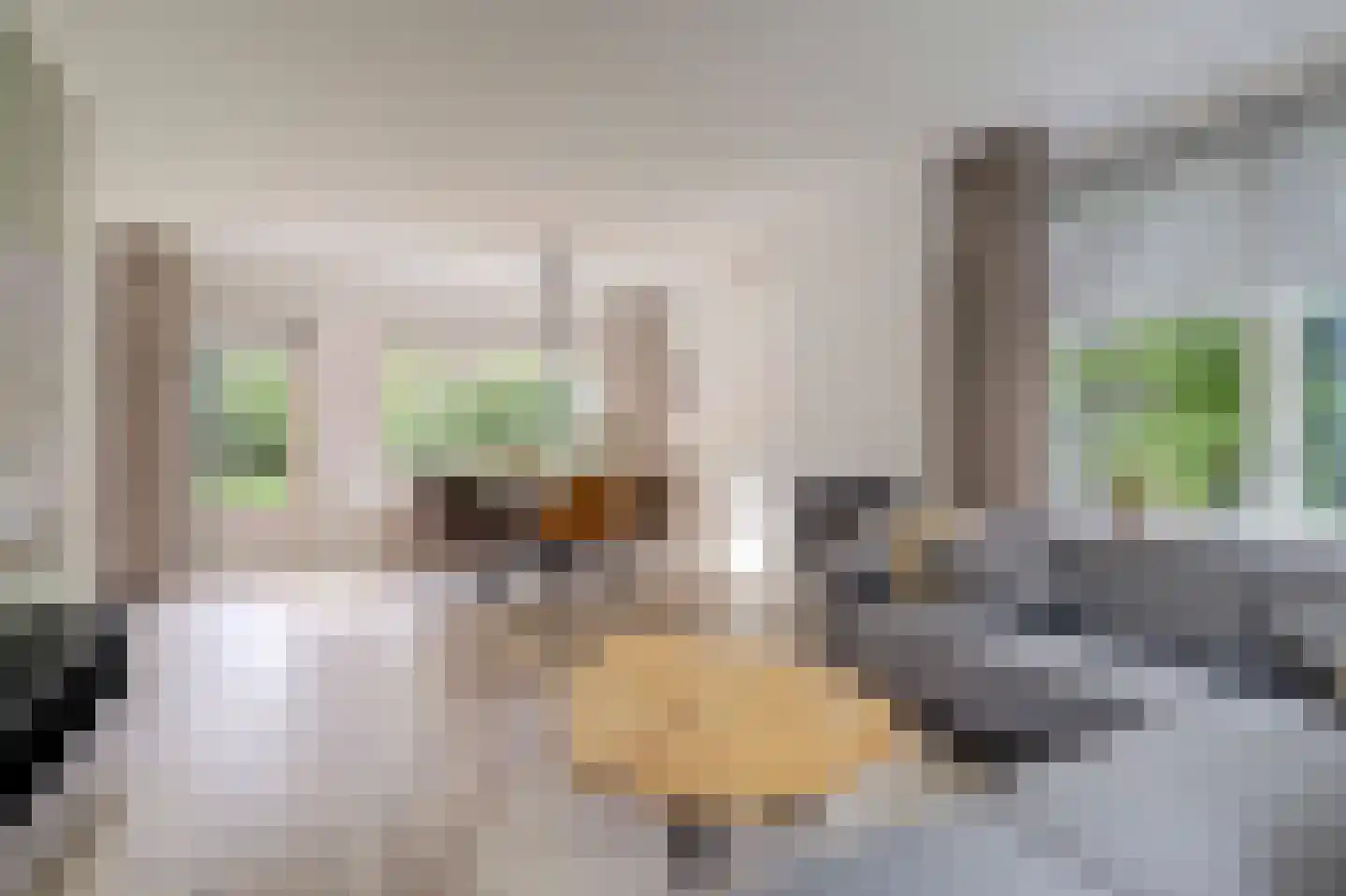 Zijlandstraat 13 Borculo thumbnail 8