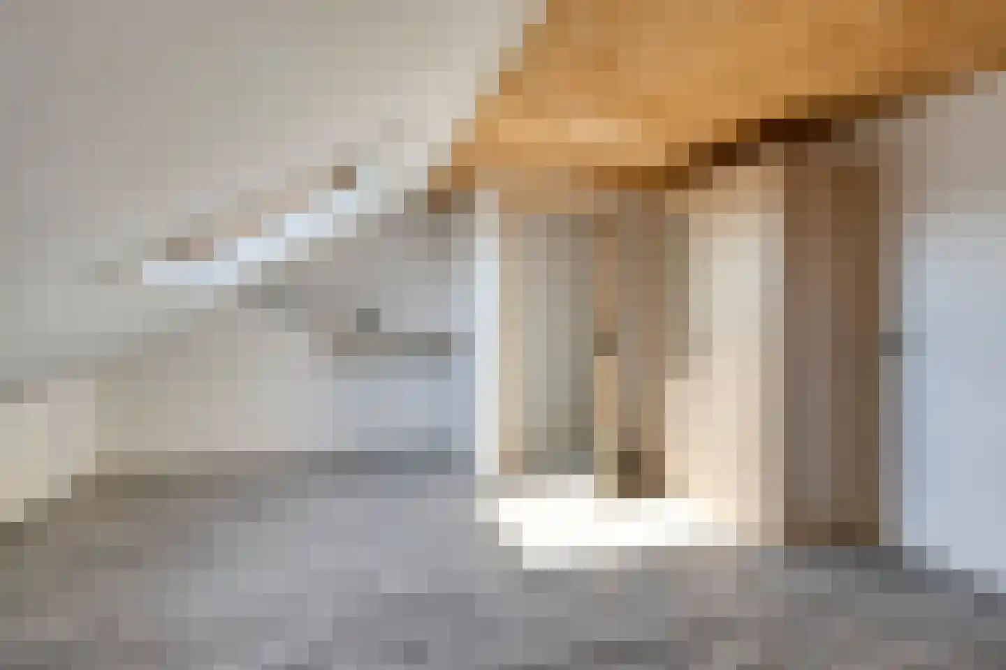 Zijlberg 48 Zoetermeer thumbnail 22