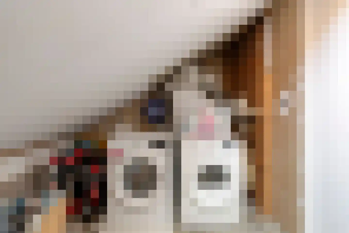 Zijlberg 48 Zoetermeer thumbnail 24