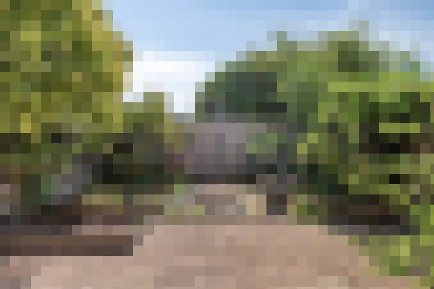 Zijlberg 48 Zoetermeer thumbnail 26