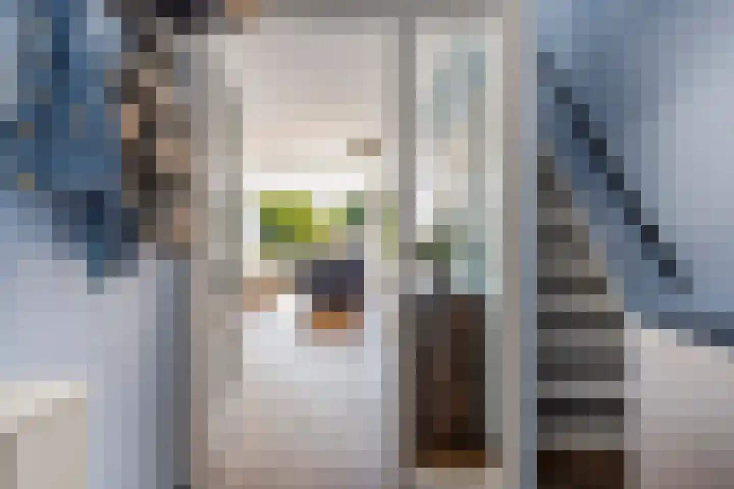 Zijlberg 48 Zoetermeer thumbnail 8