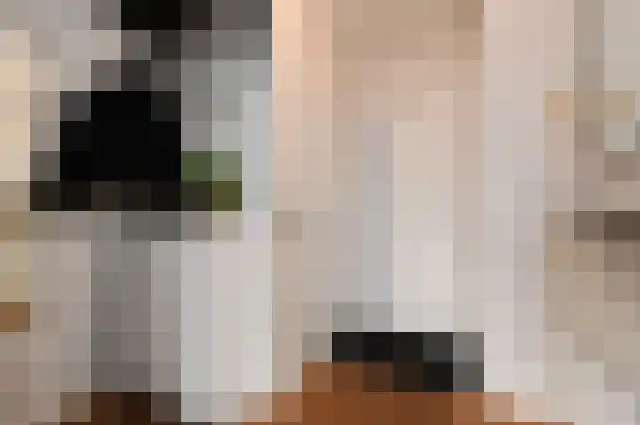 Zijlberg 69 Zoetermeer thumbnail 10