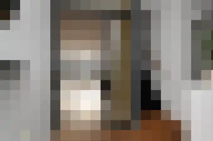Zijlberg 69 Zoetermeer thumbnail 12