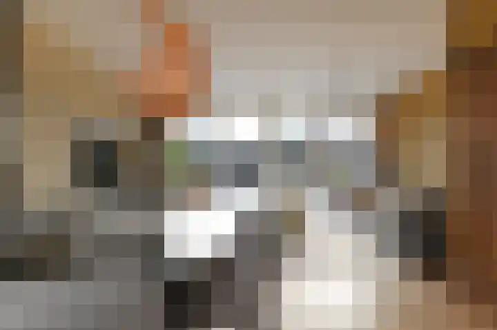 Zijlberg 69 Zoetermeer thumbnail 15