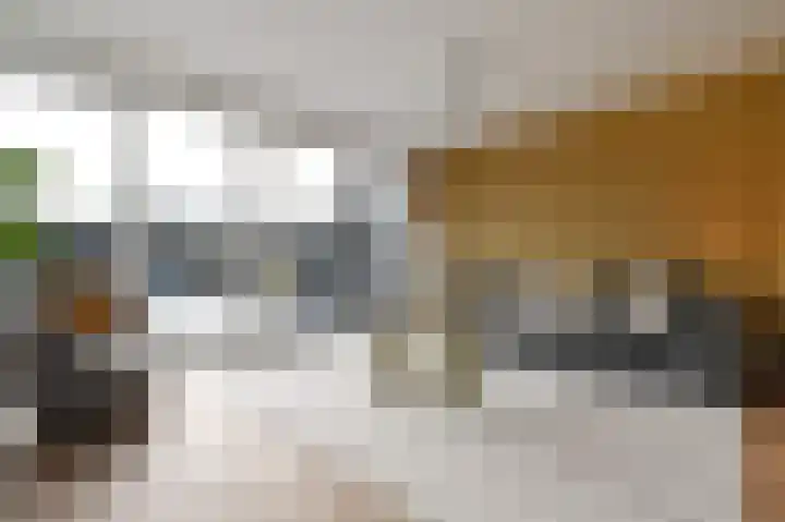 Zijlberg 69 Zoetermeer thumbnail 18