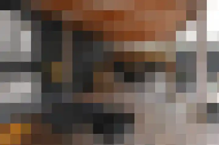 Zijlberg 69 Zoetermeer thumbnail 28