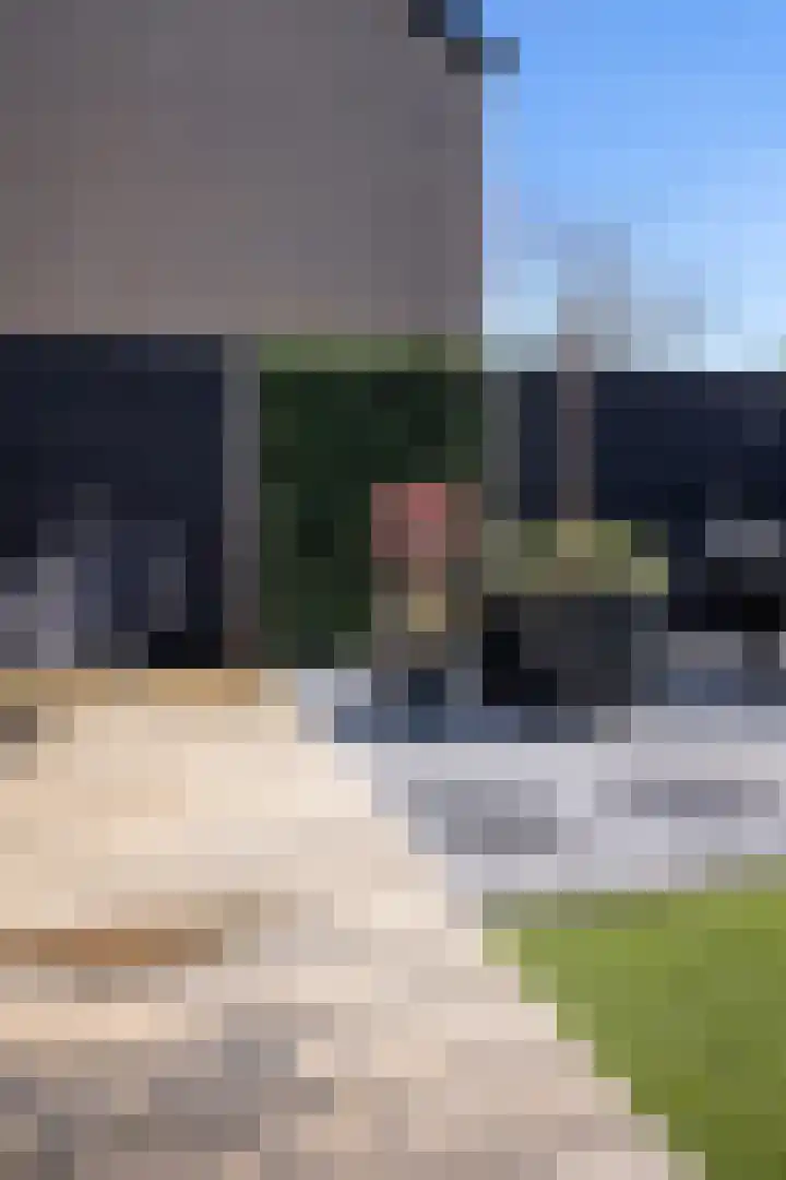 Zijlberg 69 Zoetermeer thumbnail 29