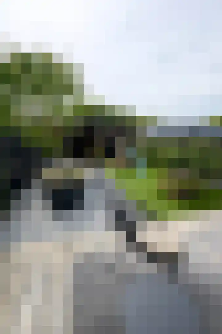 Zijlberg 69 Zoetermeer thumbnail 30