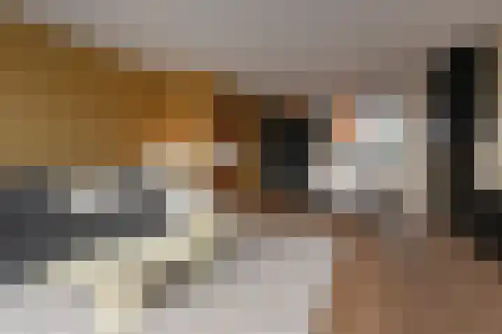 Zijlberg 69 Zoetermeer thumbnail 34