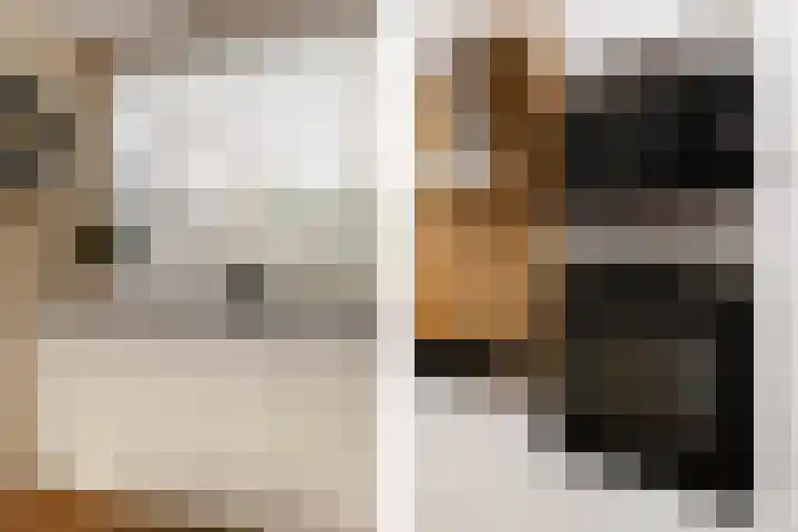Zijlberg 69 Zoetermeer thumbnail 38