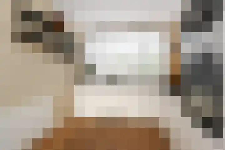 Zijlberg 69 Zoetermeer thumbnail 39