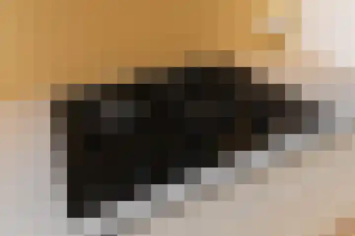 Zijlberg 69 Zoetermeer thumbnail 40